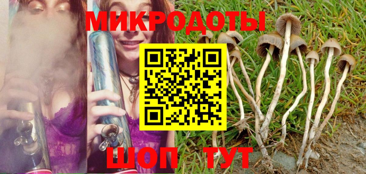 Галлюциногенные грибы мицелий Красноуфимск